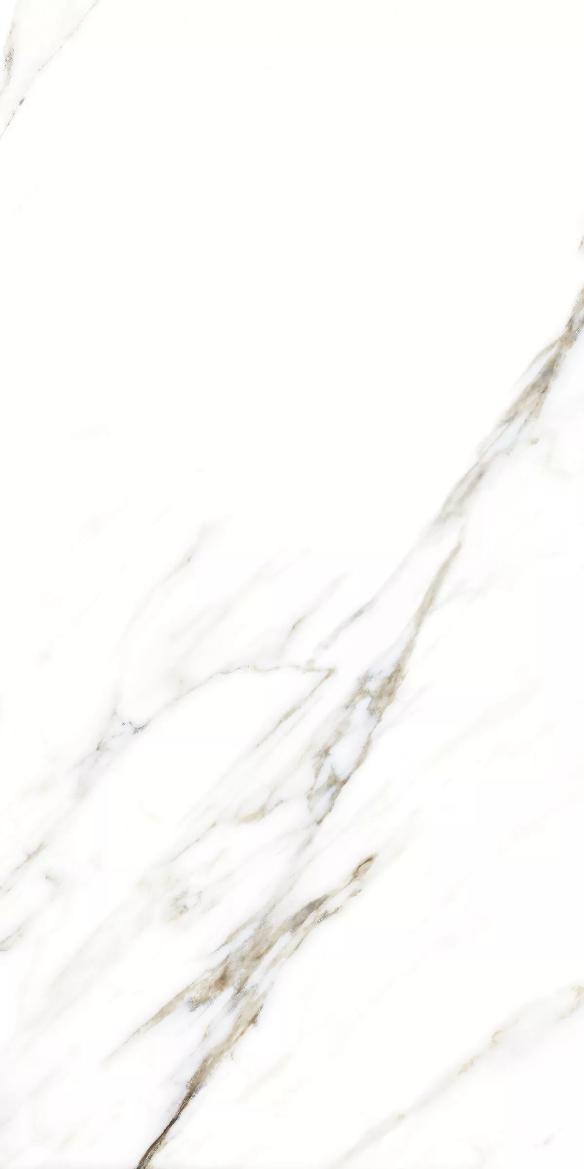 Купить Керамогранит ARTCER Marble Fantastic White 9 mm POLI 60x120
