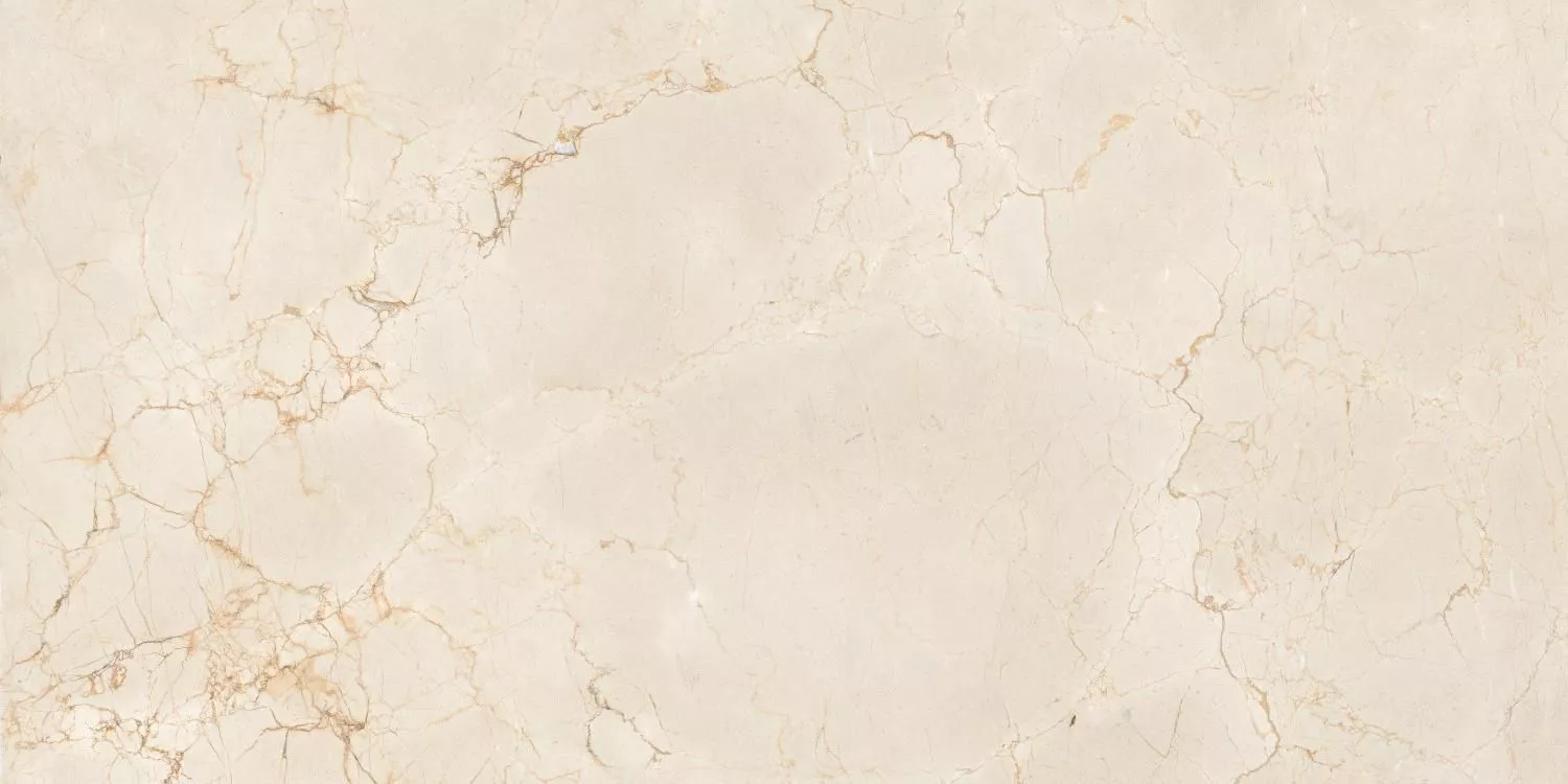 Купить Керамогранит Maimoon Ceramica  Itacid criox moss 120х60