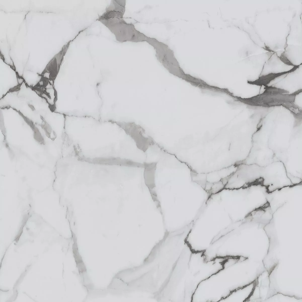 Купить Керамогранит Royce Calacatta Luxe Polished 60x60 см (R_PR1002)