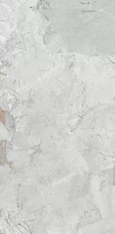 Купить Керамогранит Primavera  States White LC211 1200х600 мм.