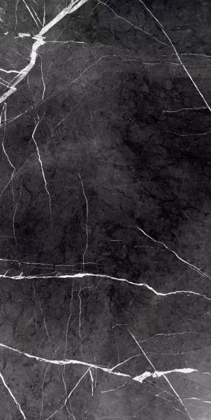 Купить Керамогранит Primavera Fedele Negro 60x120 см (GR203)