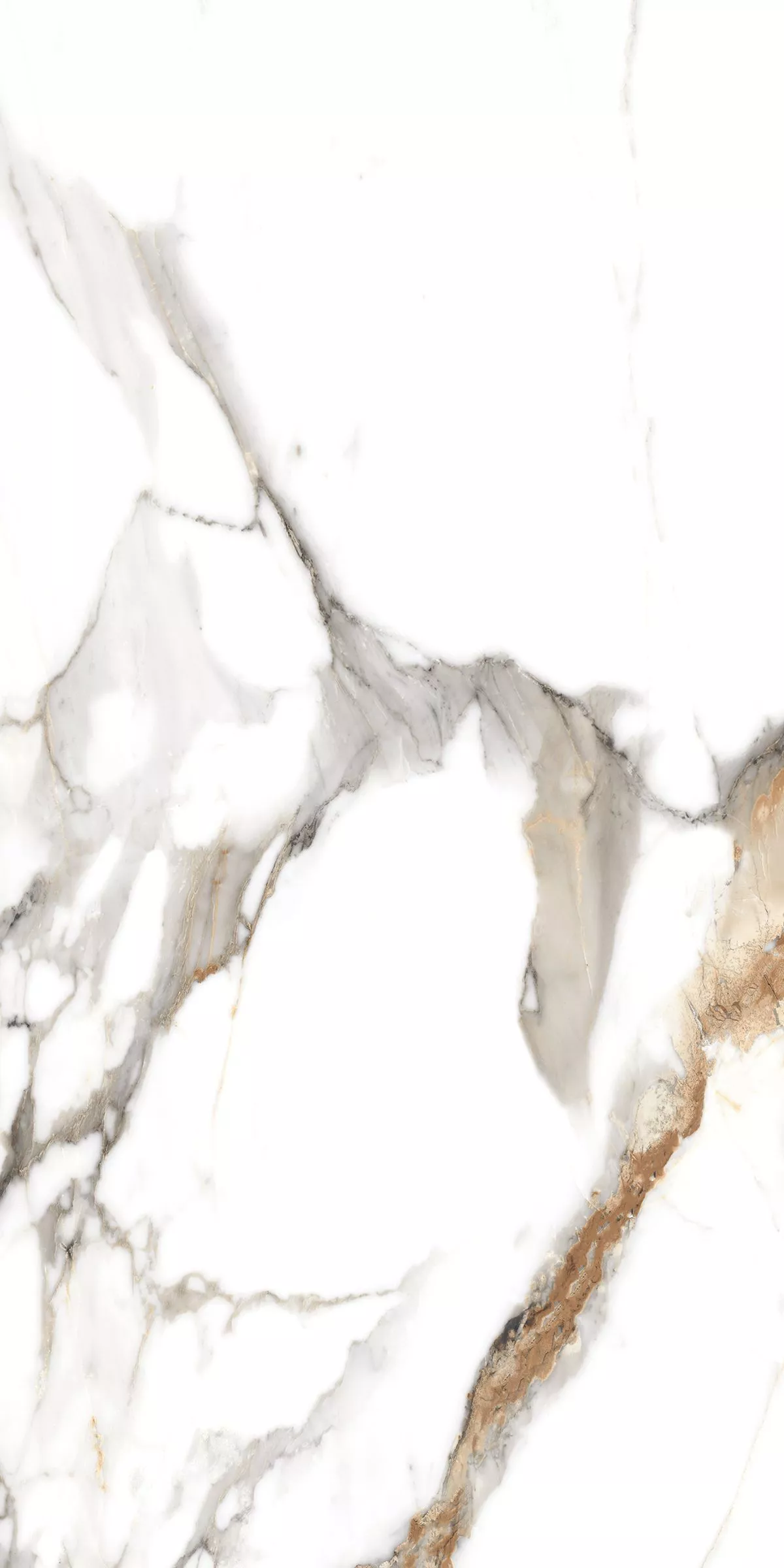 Купить Керамогранит ARTCER Marble Classic Carrara 9 mm  CARV 60x120