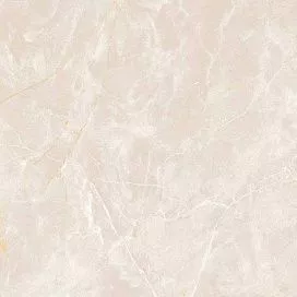 Купить Керамогранит Primavera Costa Grey 60x60 см (PR109)