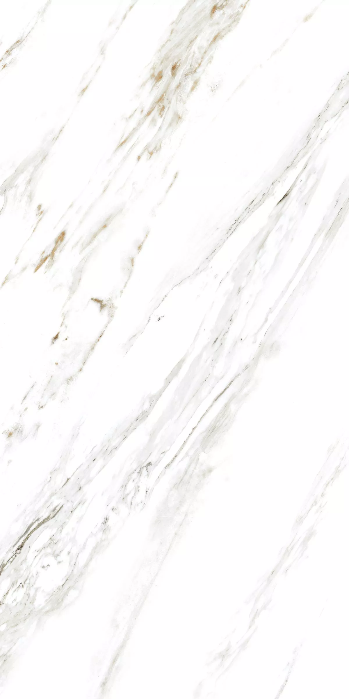 Купить Керамогранит ARTCER Marble Calacatta Caldia 9 mm POLI 60x120