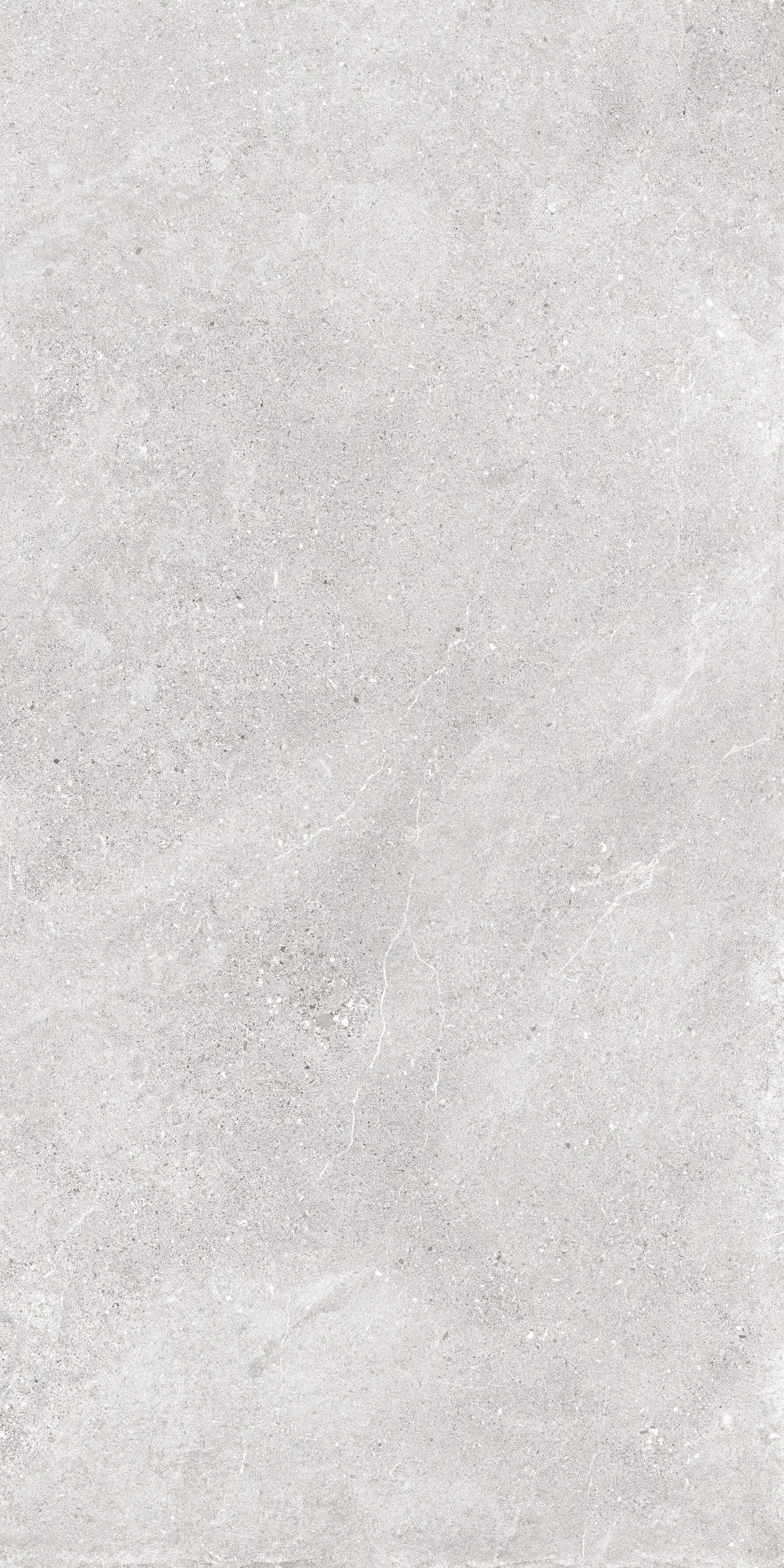 Купить Керамогранит Ibero Lune Grey MATE 60x120