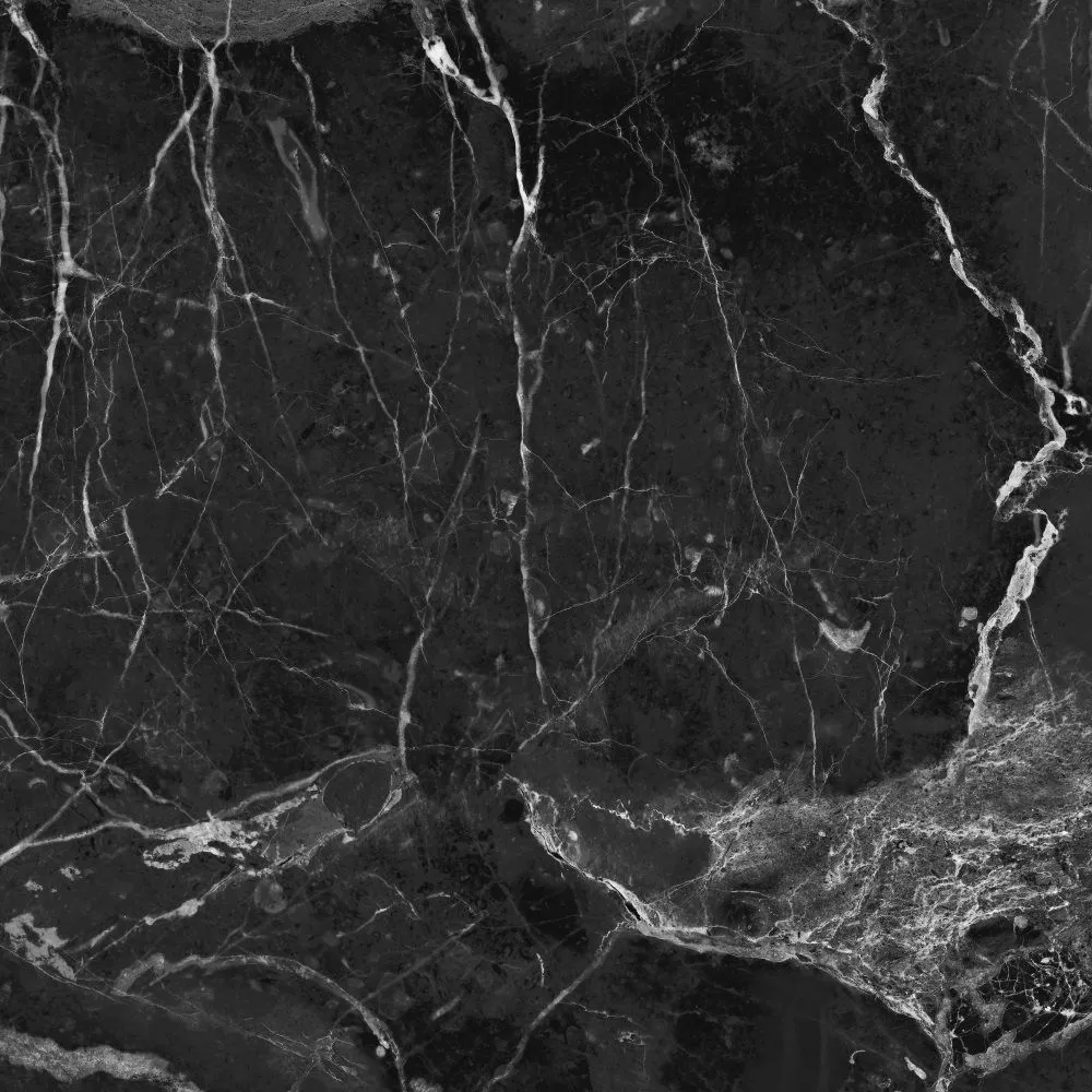 Купить Керамогранит Primavera Dalim Black 60x60 см (NR105)