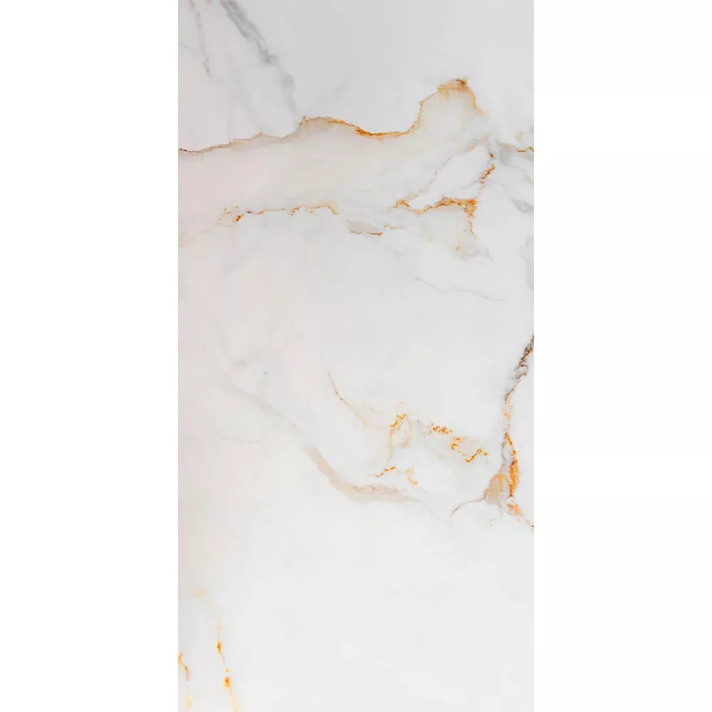 Купить Керамогранит CERAMICOM ELEGANT 60x120 см (ELEGANT)