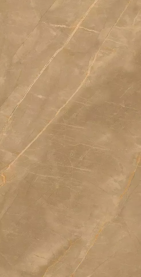 Купить Керамогранит Eco Royalish Brown 9 mm POLI 60x120
