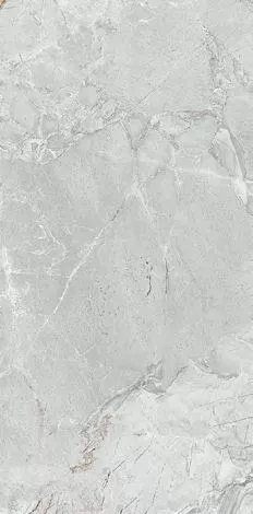 Купить Керамогранит Primavera  States White LC211 1200х600 мм.