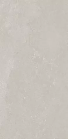 Купить Керамогранит Primavera  Virgo Grey NR241 1200х600 мм.