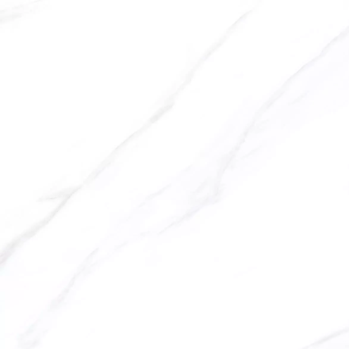 Купить Керамогранит PARDIS Euphoria Polished 800х800 мм