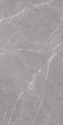 Керамогранит ARTCER Stone Monte Grey CARV 60x120