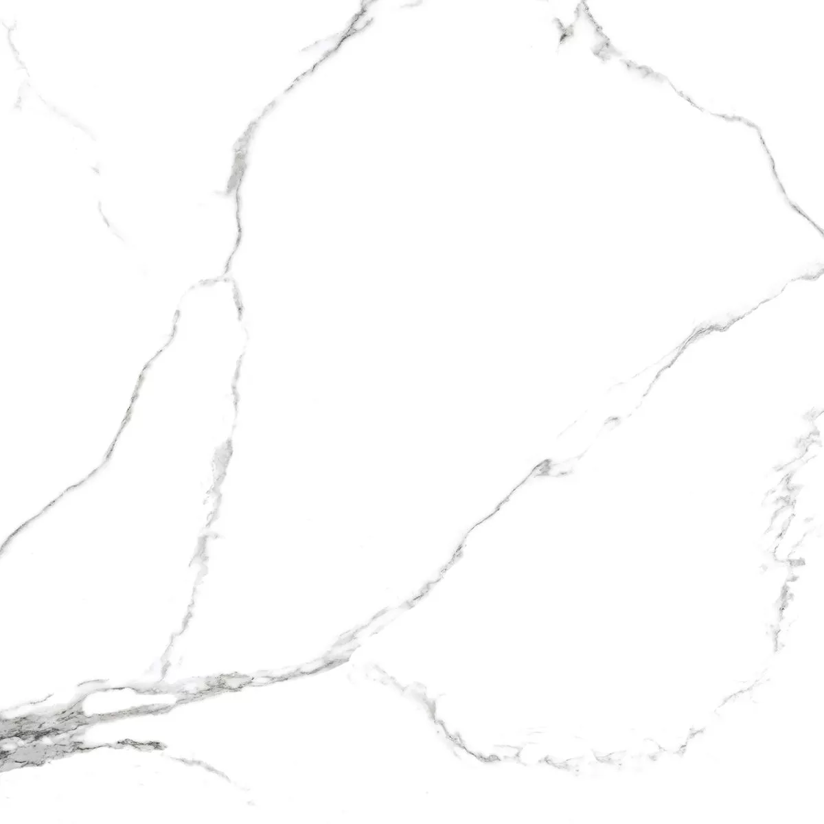 Купить Керамогранит Royce Calacatta Venatino Matt 60x60 см (R_NR1001)