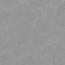 Купить Керамогранит Primavera  РАНЕРА серый NR138 600х600 мм.