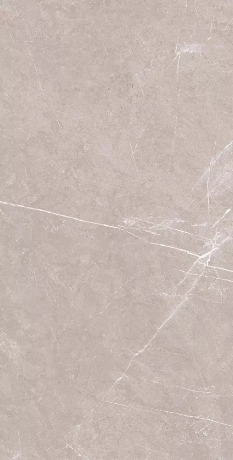 Купить Керамогранит ARTCER Stone Monte Grigio CARV 60x120