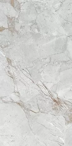 Купить Керамогранит Primavera  States White LC211 1200х600 мм.