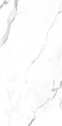Купить Керамогранит Primavera  Dalim White NR235 1200х600 мм.
