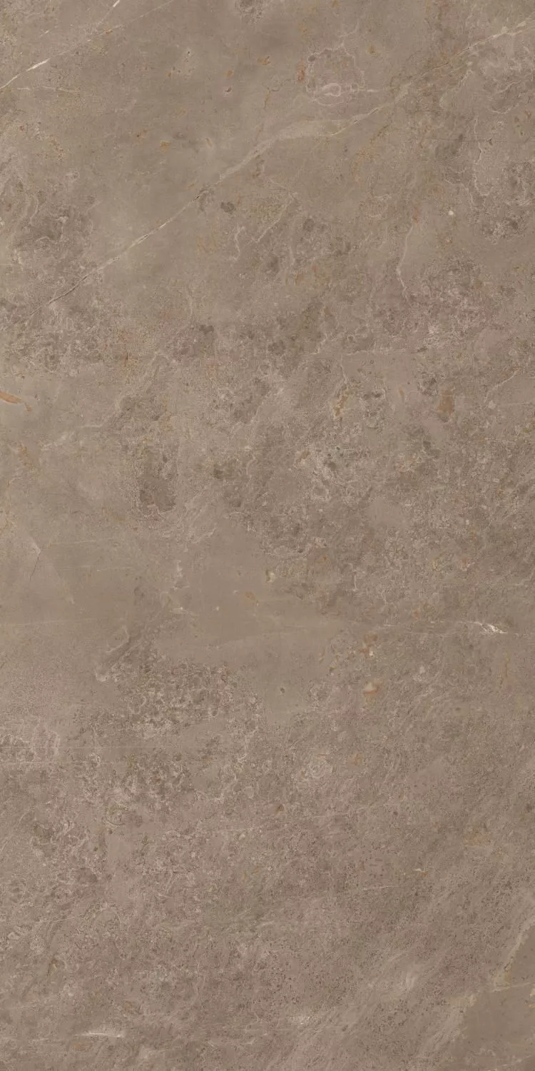 Купить Керамогранит ARTCER Stone Luish Brown CARV 60x120