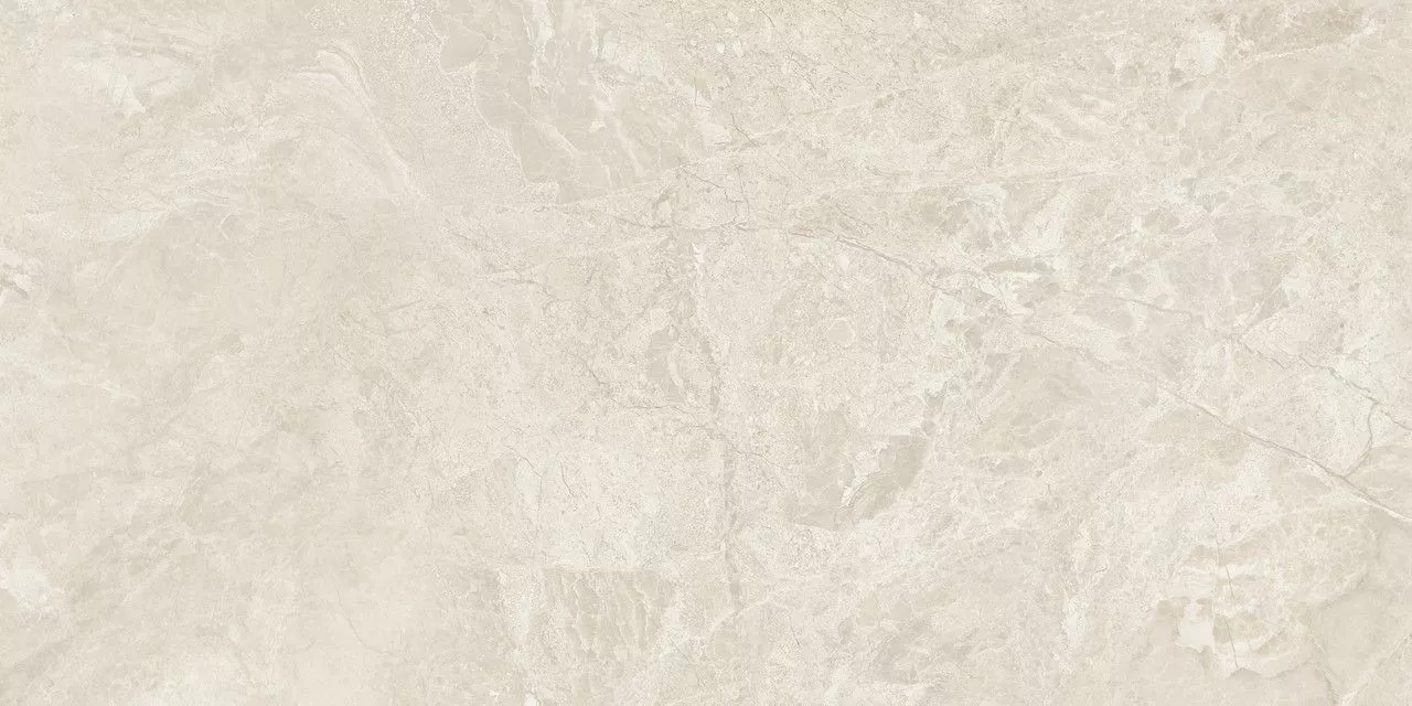 Купить Керамогранит Canyon Bone Rect 60x120