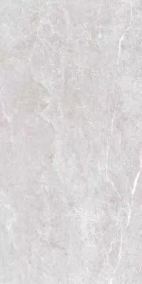 Керамогранит ARTCER Eco Spider Grey 5.5 mm POLI 60x120