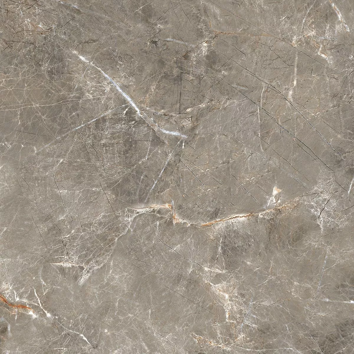 Купить Керамогранит Royce Olympia Grey Polished 60x60 см (R_PR1023)