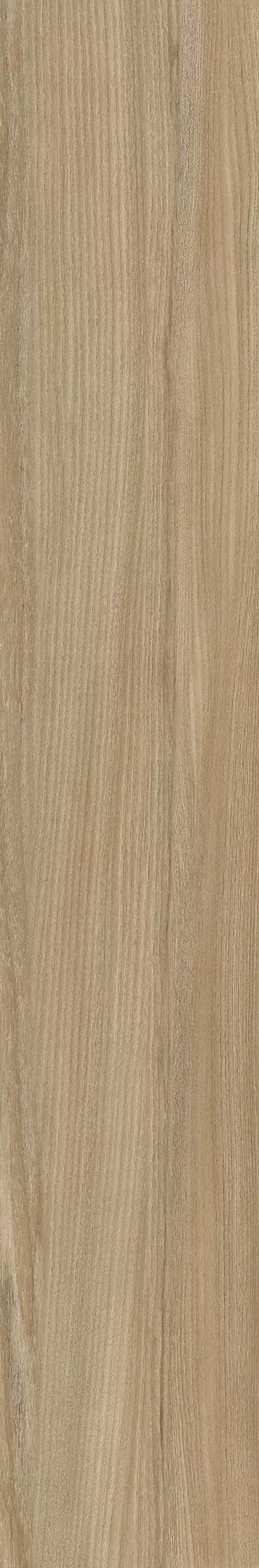 Купить Керамогранит Keraben Poeme Brandy MATE 24.8x150