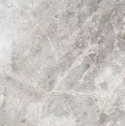 Купить Керамогранит Primavera  Flurry Caramel LC204 1200х600 мм.