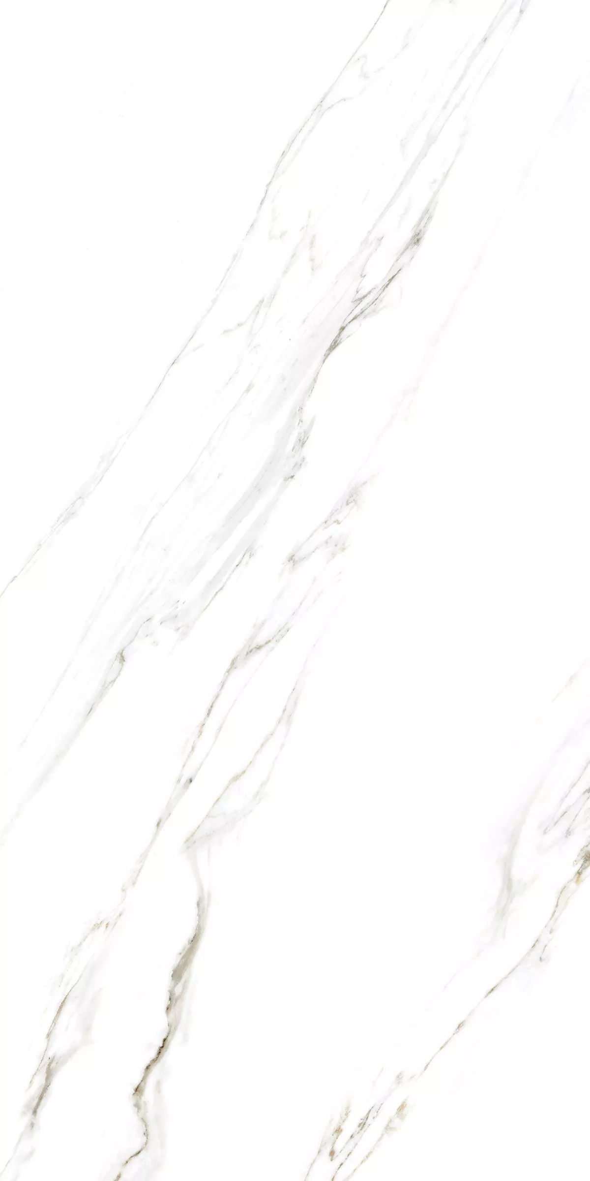 Купить Керамогранит ARTCER Marble Calacatta Caldia 9 mm POLI 60x120