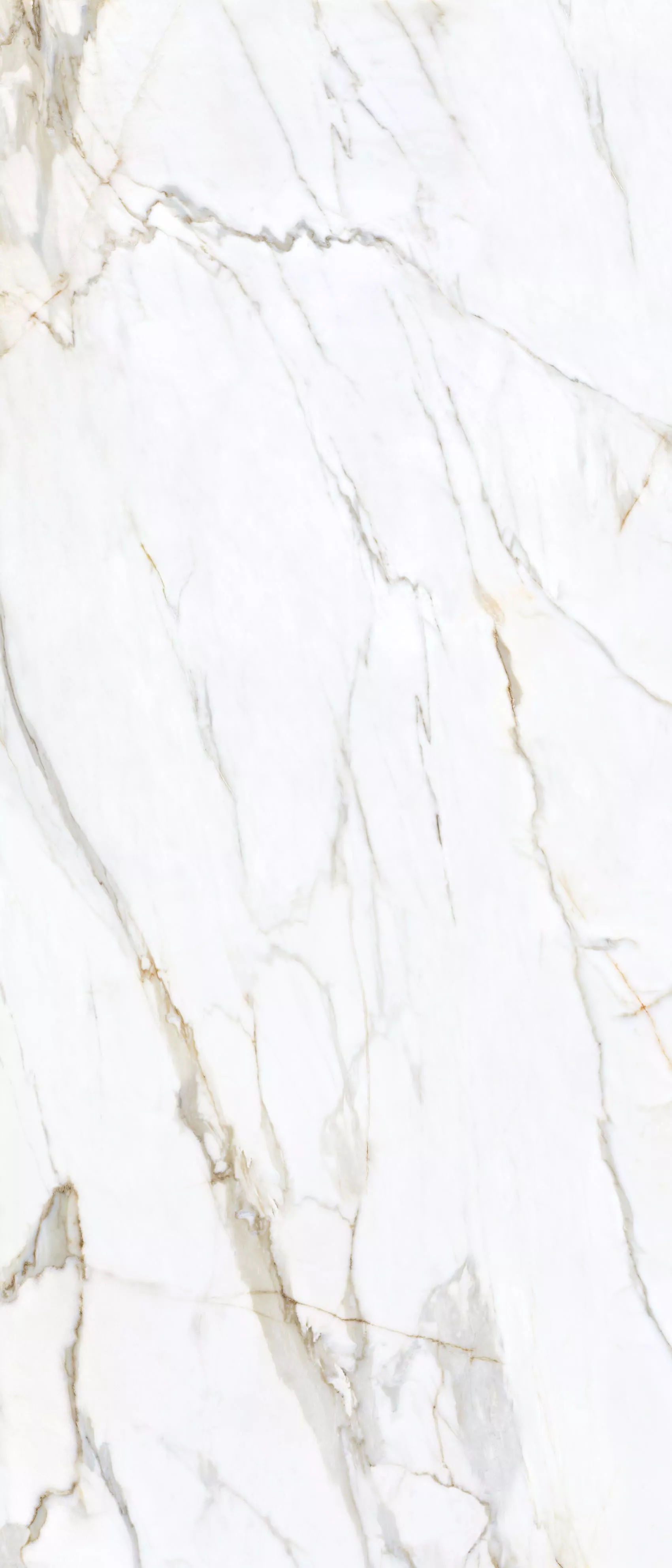 Купить Керамогранит ARTCER 2XL Calacatta Gold Vecchio MATE 120x280
