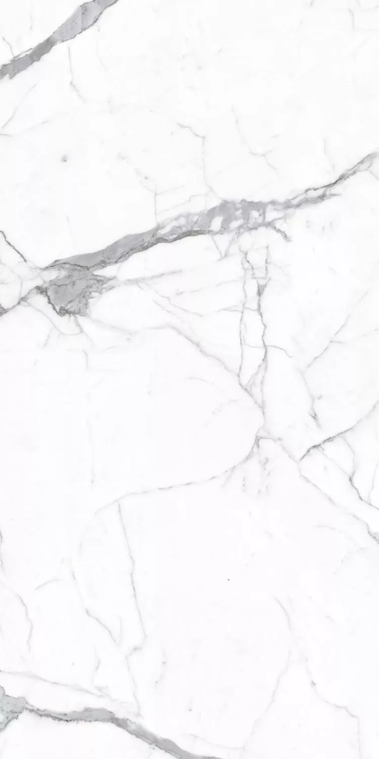 Купить Керамогранит ARTCER 2XL Alps Statuario POLI 120x240
