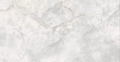 Керамогранит PARDIS Elison (176687) Polished 600х1200 мм