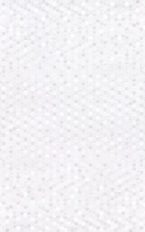Купить 10100001086 Лейла св верх 01 глянцевая плитка для стен 25х40, Gracia Ceramica