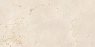 Керамогранит Maimoon Ceramica  Itacid criox moss 120х60