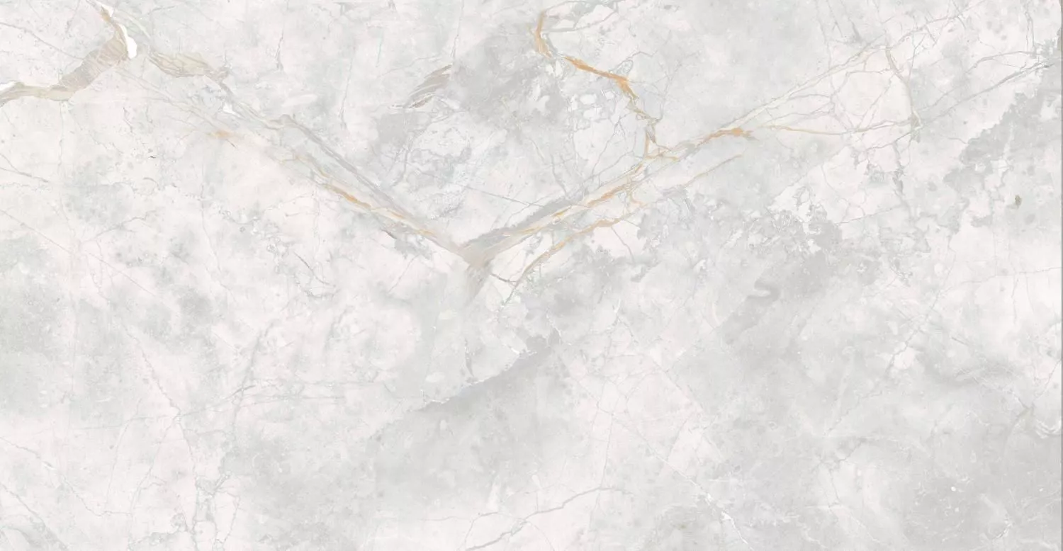Купить Керамогранит PARDIS Elison (176687) Polished 600х1200 мм