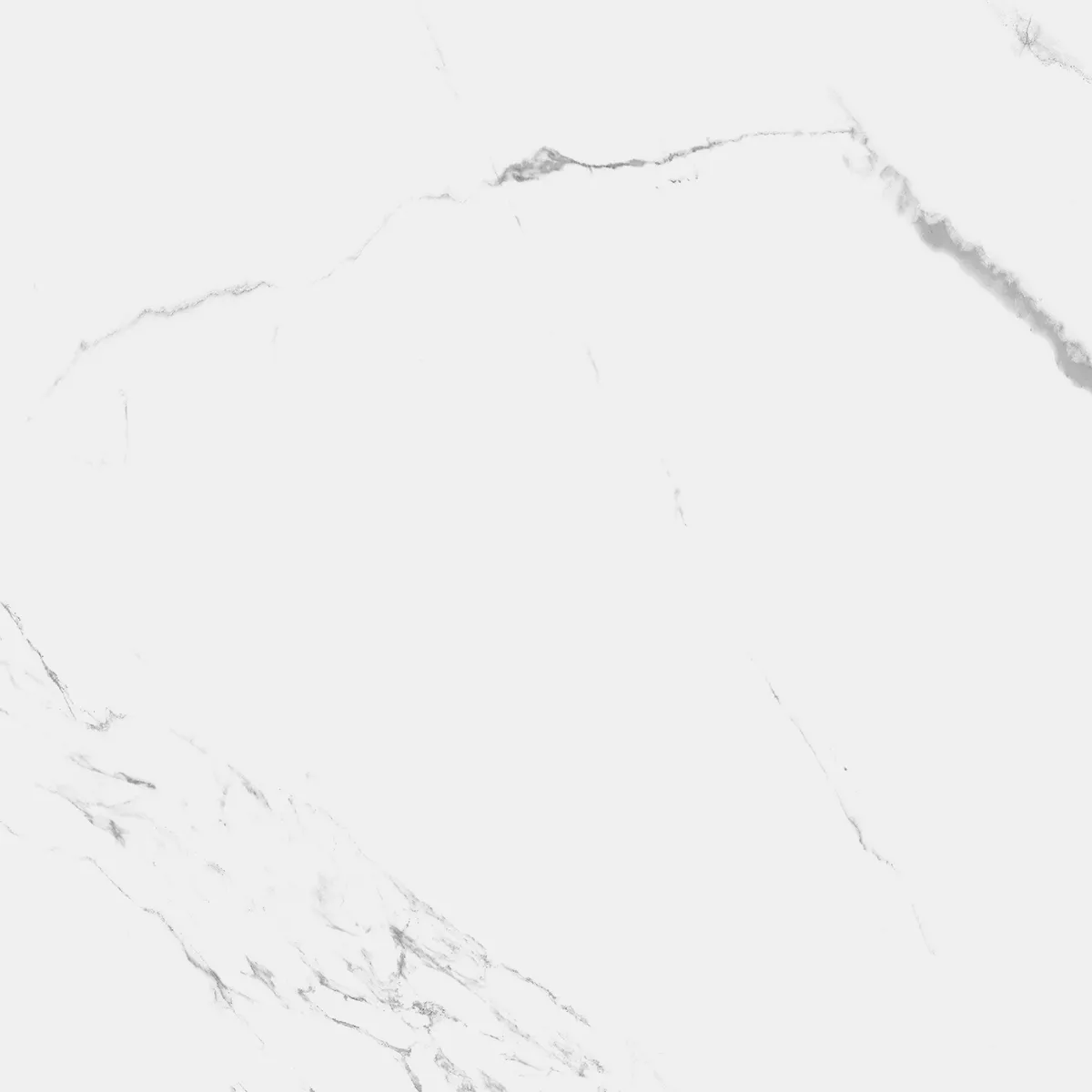 Купить Керамогранит Royce Carrara Marmo Polished 60x60 см (R_PR1004)