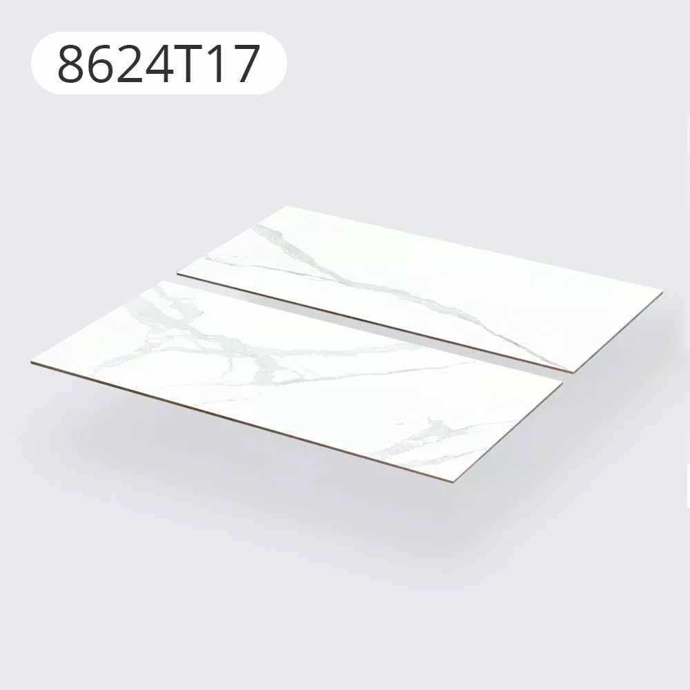 Купить Керамогранит CERAMICOM SANTA 60x120 см (8624T17)