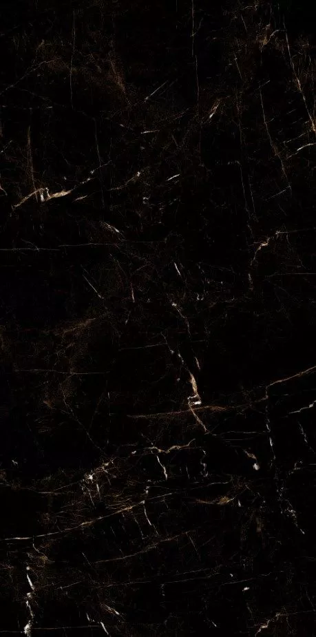 Купить Керамогранит ARTCER Eco Tropic Black 9 mm POLI 60x120