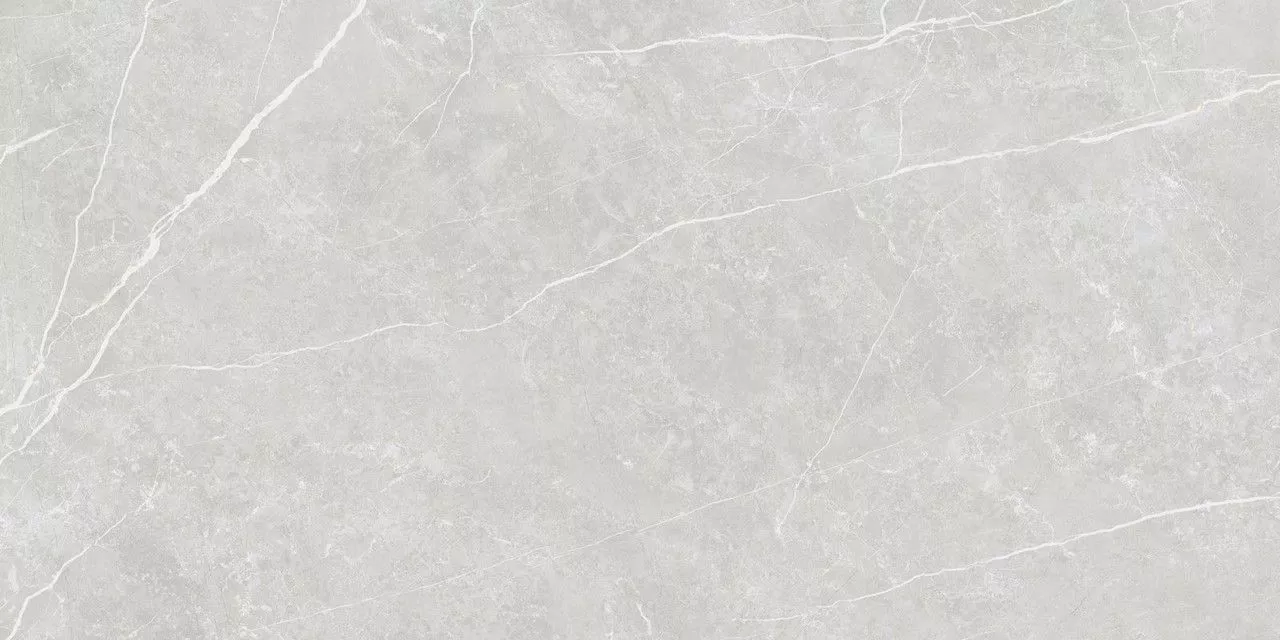 Купить Керамогранит Elite Silver Matt 60x120