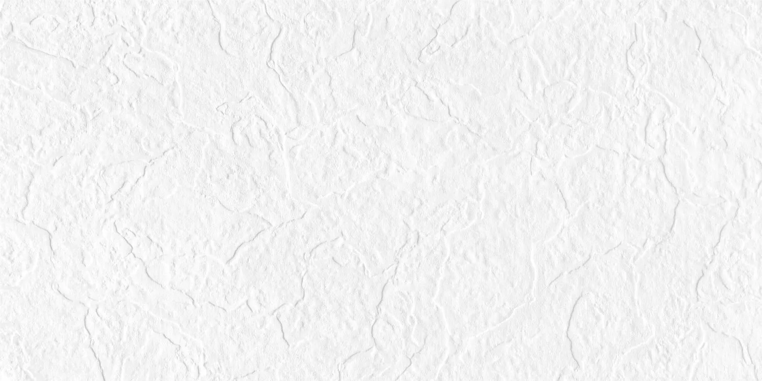 Купить Керамогранит Maimoon Ceramica  Full Body snow white punch 120х60