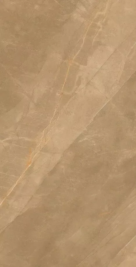 Купить Керамогранит Eco Royalish Brown 9 mm POLI 60x120