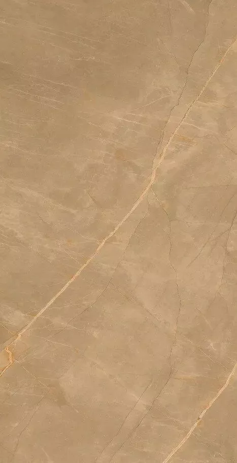 Купить Керамогранит Eco Royalish Brown 9 mm POLI 60x120