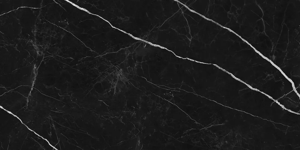 Купить Керамогранит Primavera Ross Black 60x120 см (NR209)