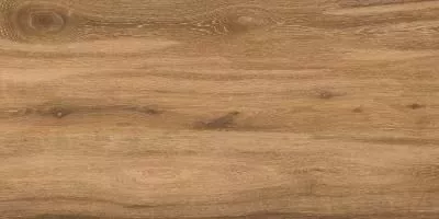 Керамогранит Keraben Naturwood Brandy MATE 60x120