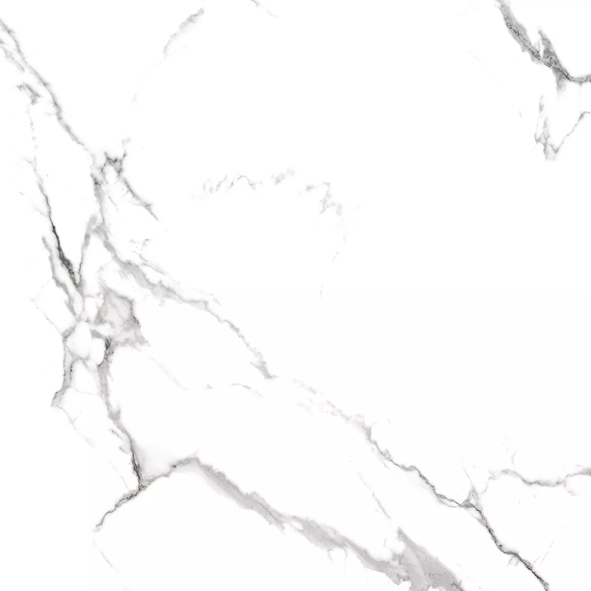 Купить Керамогранит Royce Calacatta Venatino Matt 60x60 см (R_NR1001)