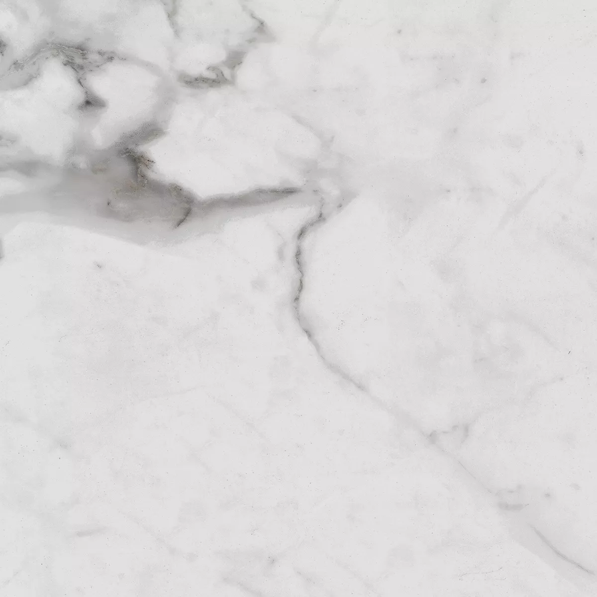 Купить Керамогранит Royce Carrara Betria Polished 60x60 см (R_PR1005)