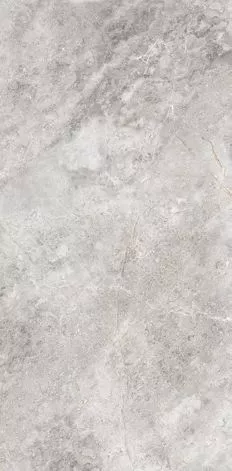 Купить Керамогранит Primavera  Flurry Caramel LC204 1200х600 мм.