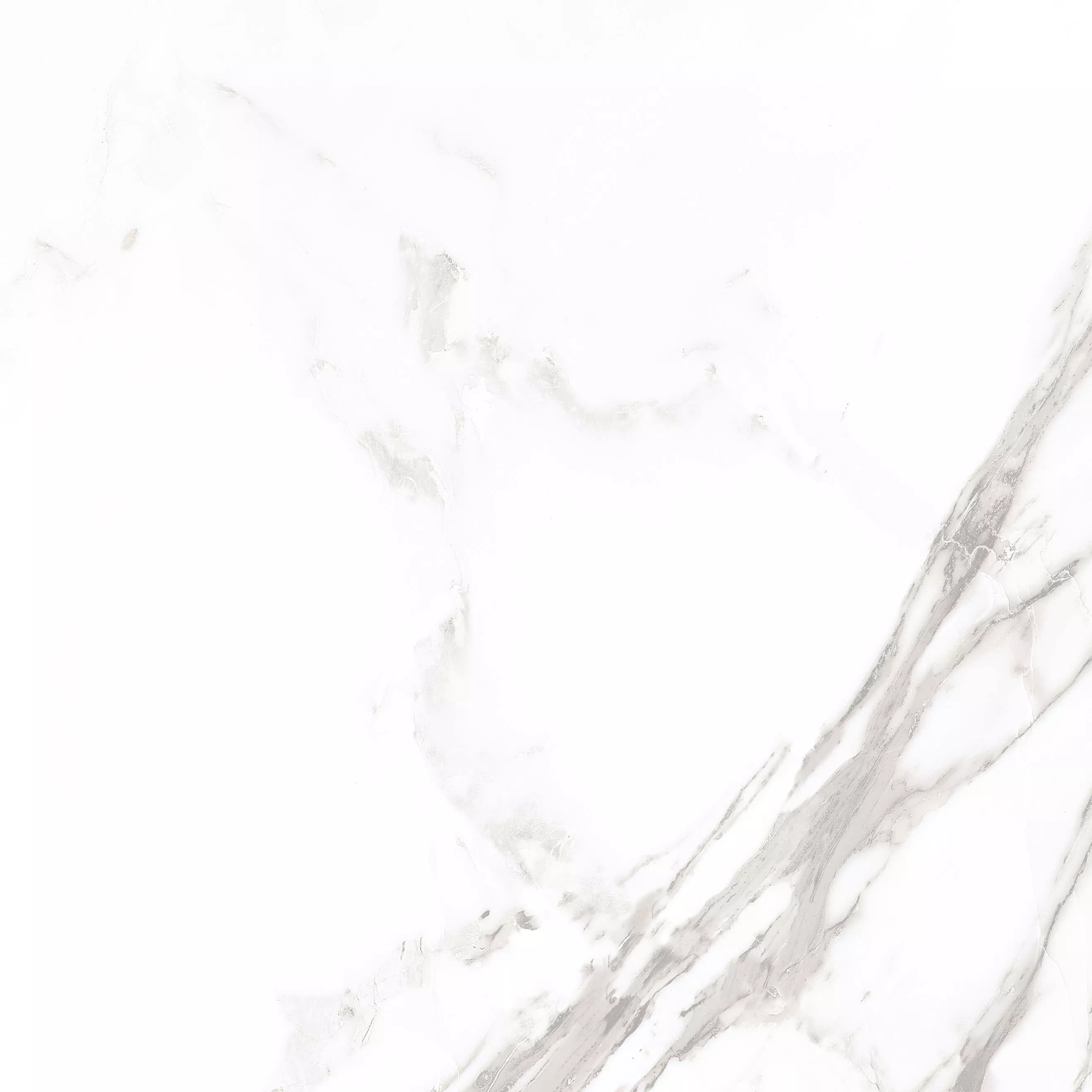Купить Керамогранит ARTCER Marble Royal White POLI 60x60