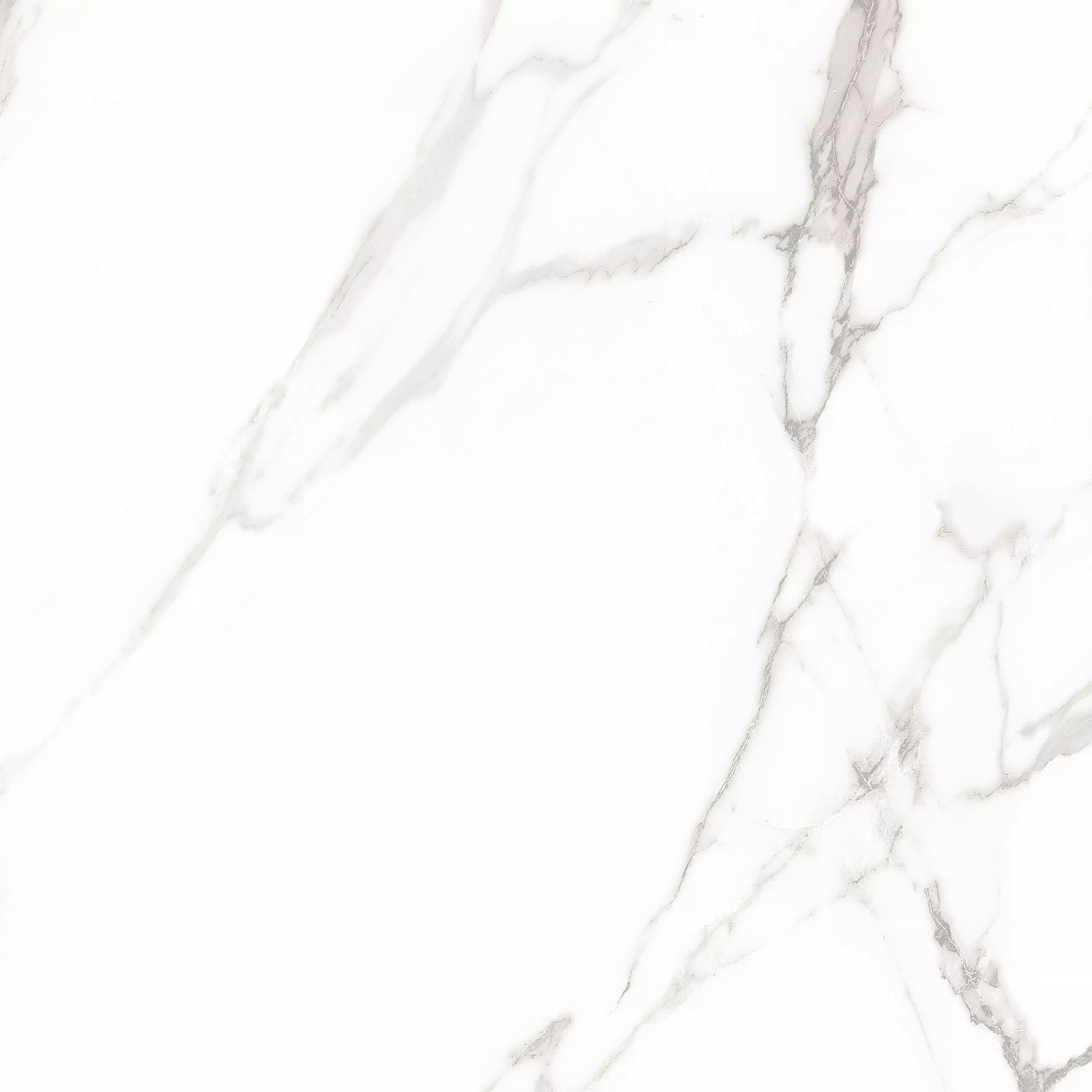 Купить Керамогранит ARTCER Marble Royal White POLI 60x60