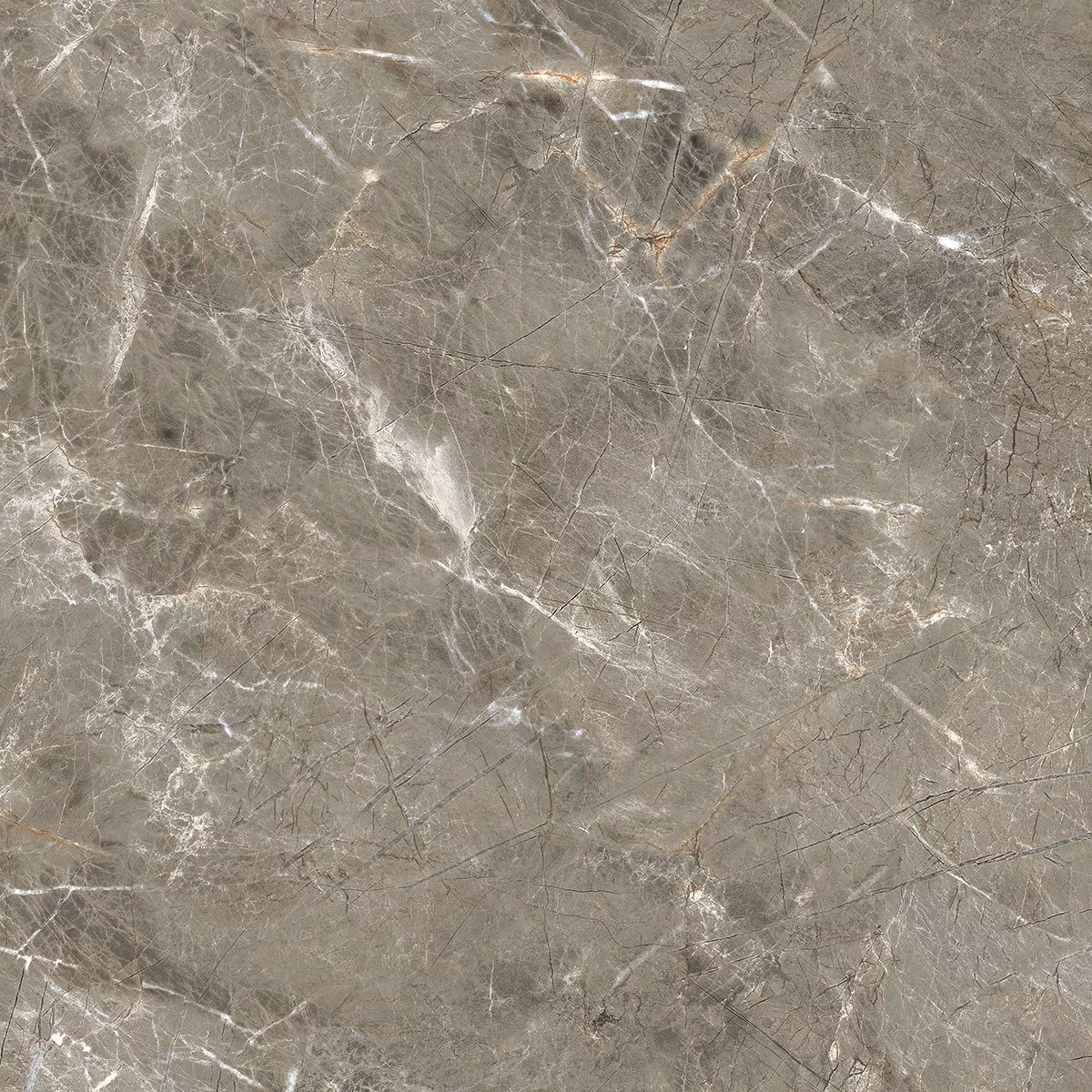 Купить Керамогранит Royce Olympia Grey Matt 60x60 см (R_NR1011)