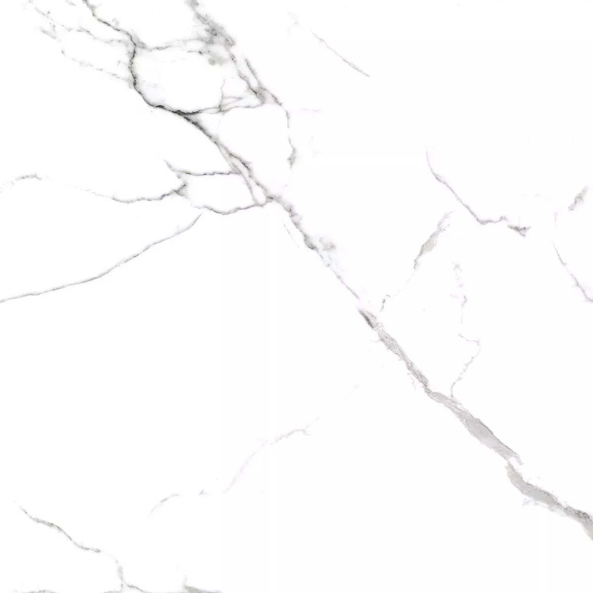 Купить Керамогранит Royce Calacatta Venatino Polished 60x60 см (R_PR1001)